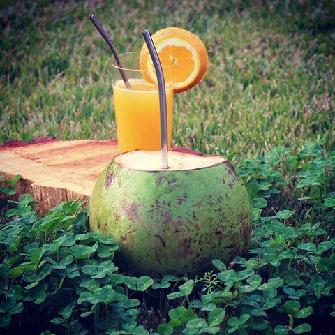 Canudo De Aço Inox Reutilizável Sustentável Reto 5mm 19cm