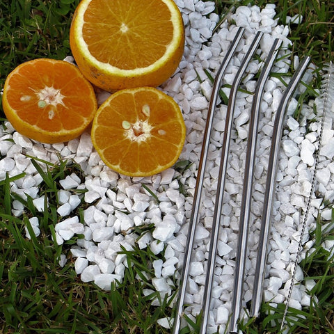 Canudo De Aço Inox Reutilizável Sustentável Reto 5mm 19cm