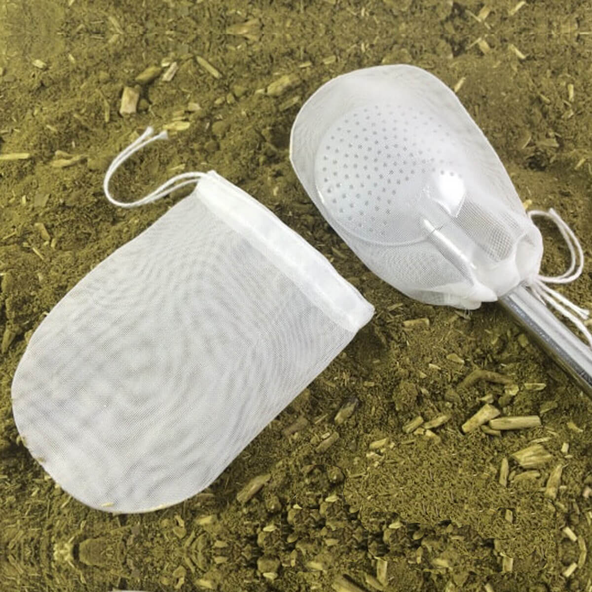 1020_v.jpg