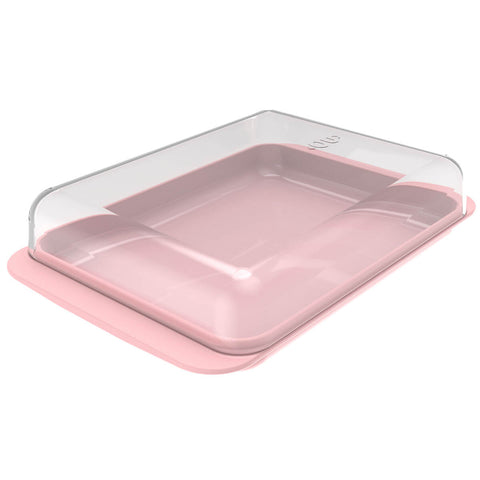 Porta Frios Com Tampa Queijeira Pote Para Queijo Presunto Cozinha