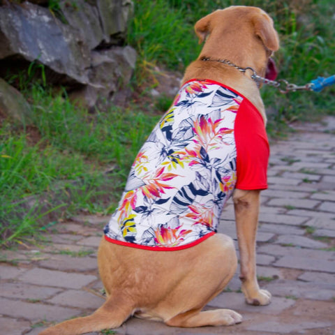 Camiseta Para Cachorro Camisa Pet Roupa Proteção Solar Dog Tamanho P
