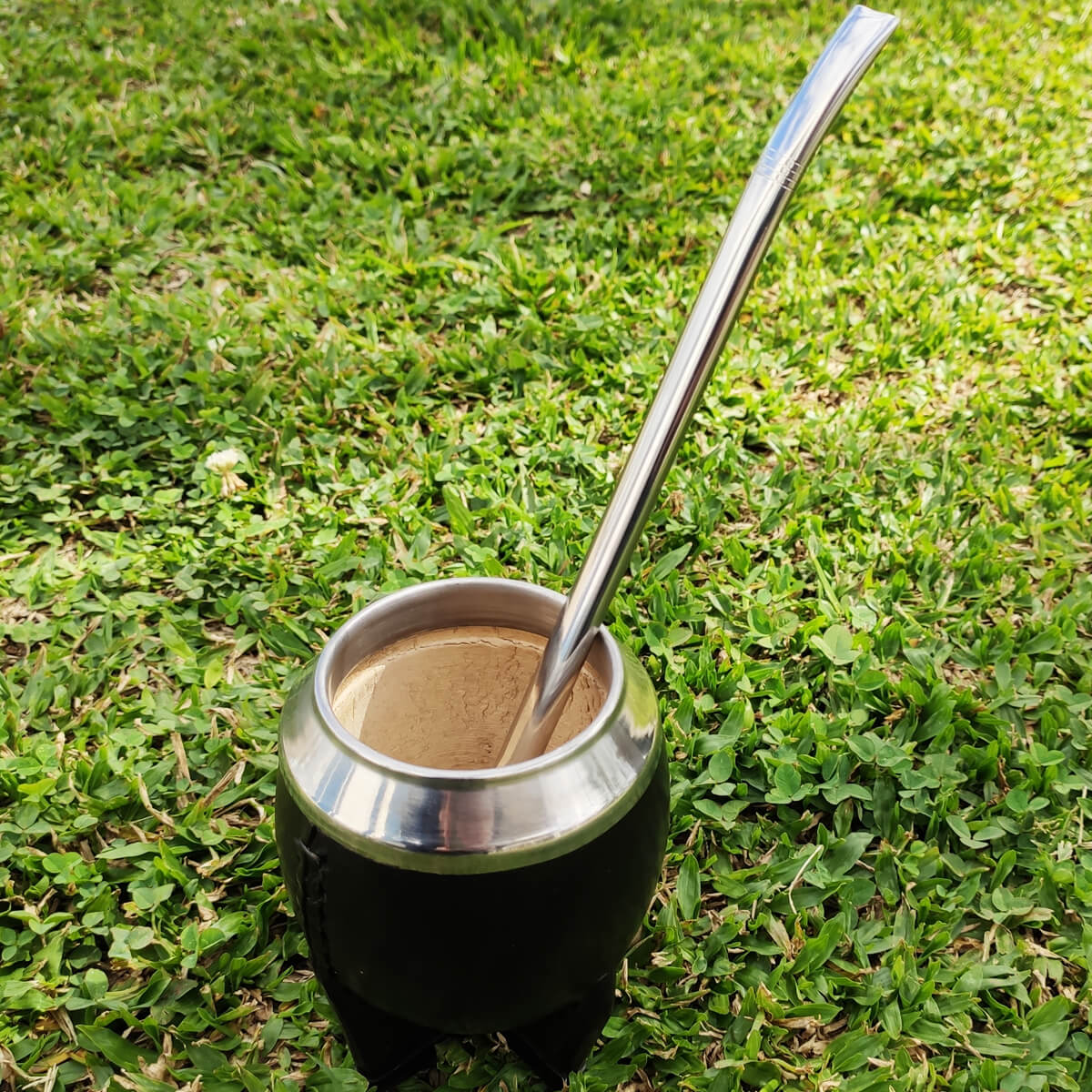 1044E_1.jpg