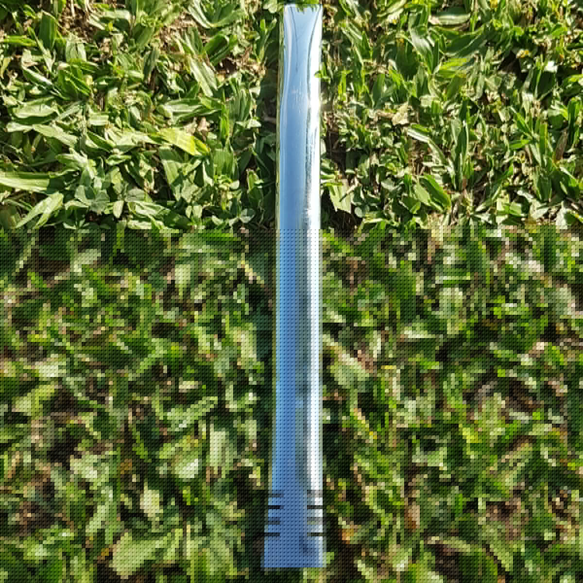 T219_2.jpg