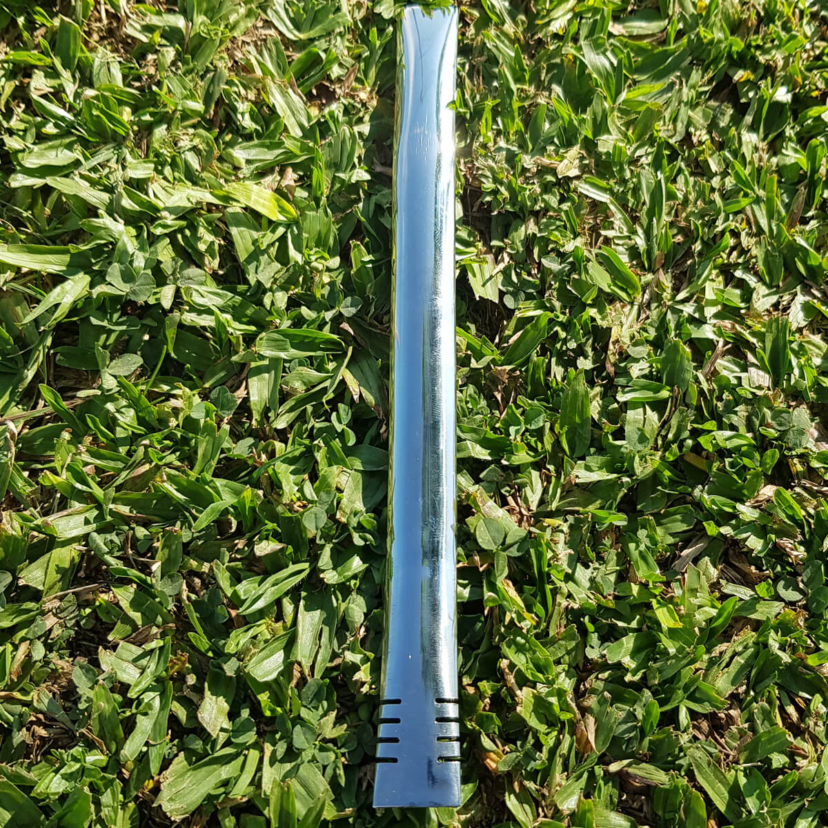 T219_2.jpg