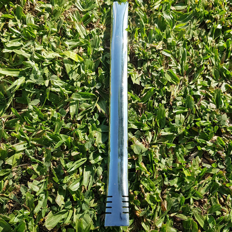 T219_2.jpg