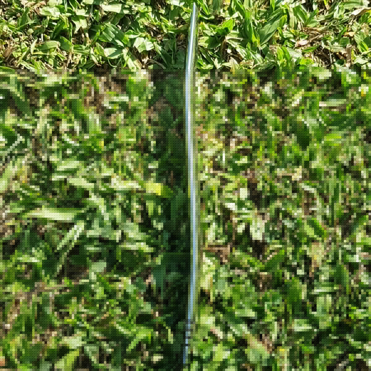 T219_5.jpg