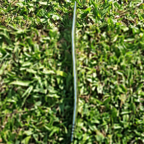T219_5.jpg