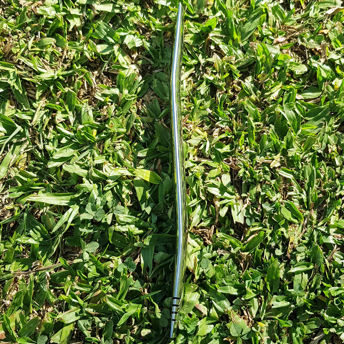 T219_5.jpg