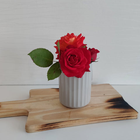 Vaso Decorativo Bege Groove Vaso De Flor Pequeno Linha Plantar OU