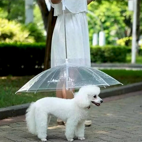 Guarda Chuva Pet Cachorro Capa de Chuva para Cães com Guia Transparente Fazzoletti