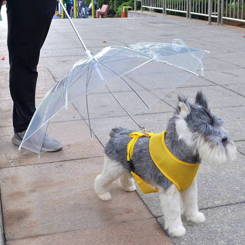 Guarda Chuva Pet Cachorro Capa de Chuva para Cães com Guia Transparente Fazzoletti
