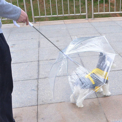 Guarda Chuva Pet Cachorro Capa de Chuva para Cães com Guia Transparente Fazzoletti