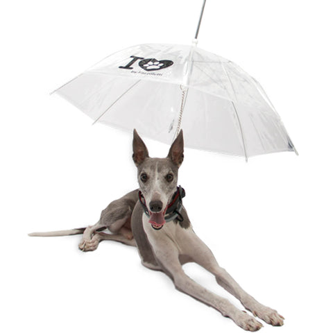 Guarda Chuva Pet Cachorro Capa de Chuva para Cães com Guia Transparente Fazzoletti