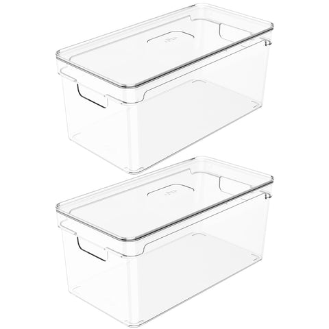Kit 2 Organizadores Retangulares 30x15x13cm Caixas Organizadoras Com Tampa E Alças Laterais Clear OU