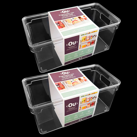 Kit 2 Organizadores Retangulares 30x15x13cm Caixas Organizadoras Com Tampa E Alças Laterais Clear OU