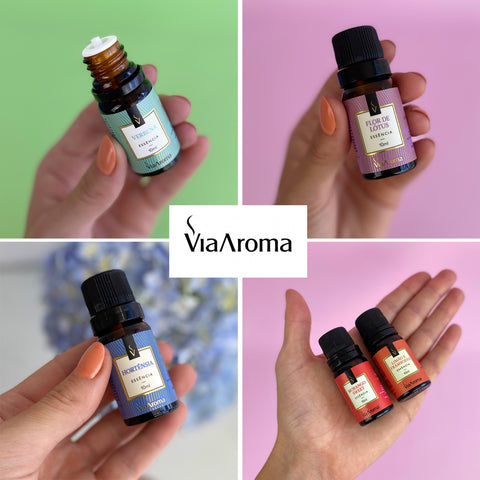 Kit 10 Essências Aromatizadoras Para Difusor Elétrico 10ml Via Aroma Sortidas